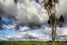 PG电子：[欧冠]客胜费耶诺德 马竞晋级淘汰赛.