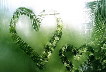 太阳主帅：杜兰特明天接受核磁共振检查，不会随队参加客场之旅.